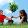 Curso de Práticas de Sustentabilidade